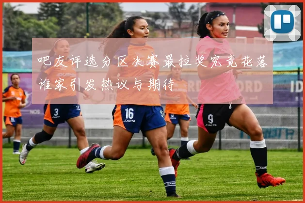 吧友评选分区决赛最拉奖究竟花落谁家引发热议与期待